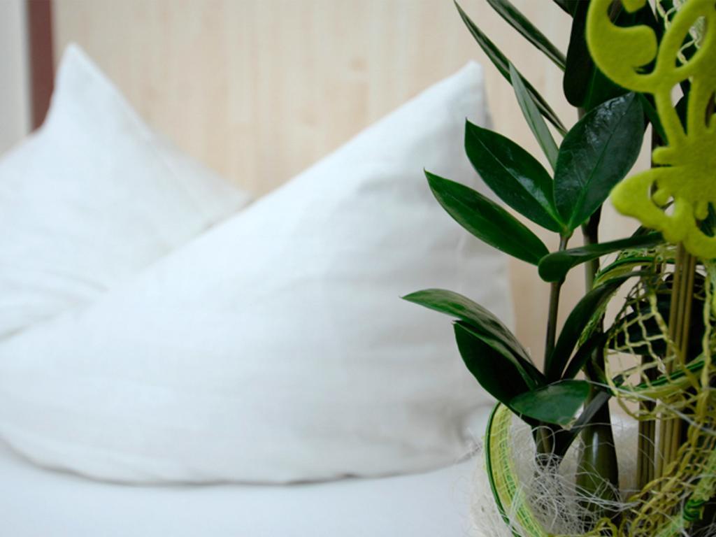 Land-Gut Hotel Zum Loewen Garni ماركتهيدنفلد الغرفة الصورة